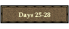 Days 25-28
