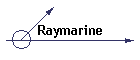 Raymarine