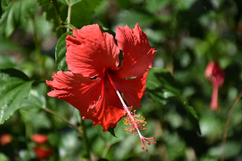 DSC_5494.JPG (169975 Byte)