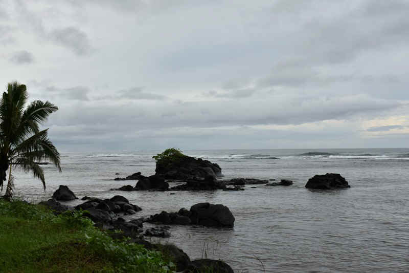 DSC_7303.JPG (107265 Byte)
