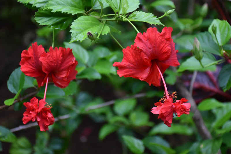 DSC_7362.JPG (112365 Byte)