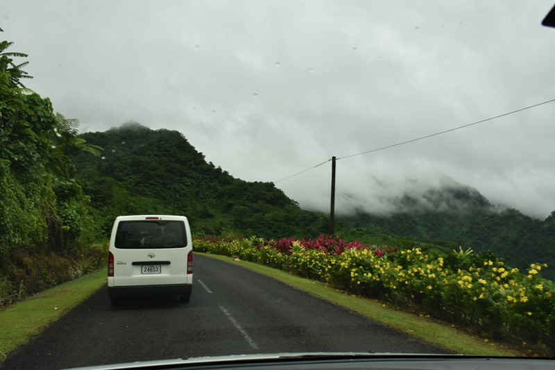 DSC_7397.JPG (106839 Byte)