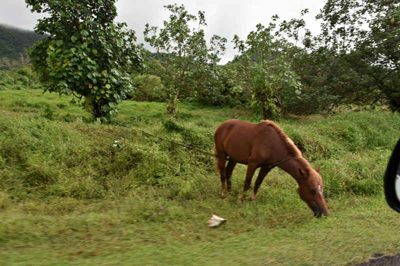 DSC_7412.JPG (189350 Byte)