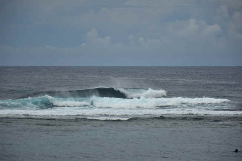 DSC_7441.JPG (89755 Byte)