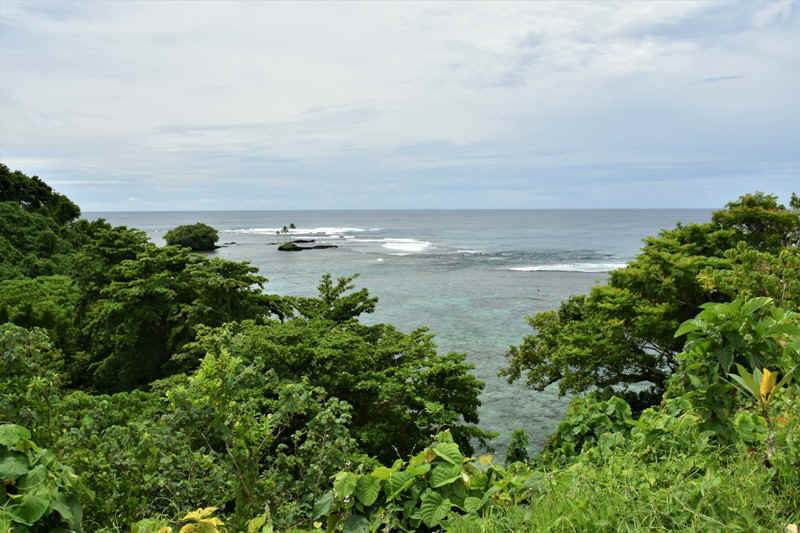 DSC_7505.JPG (162928 Byte)