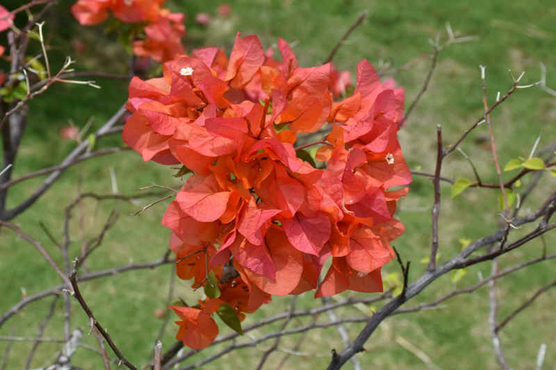 DSC_7584.JPG (205438 Byte)