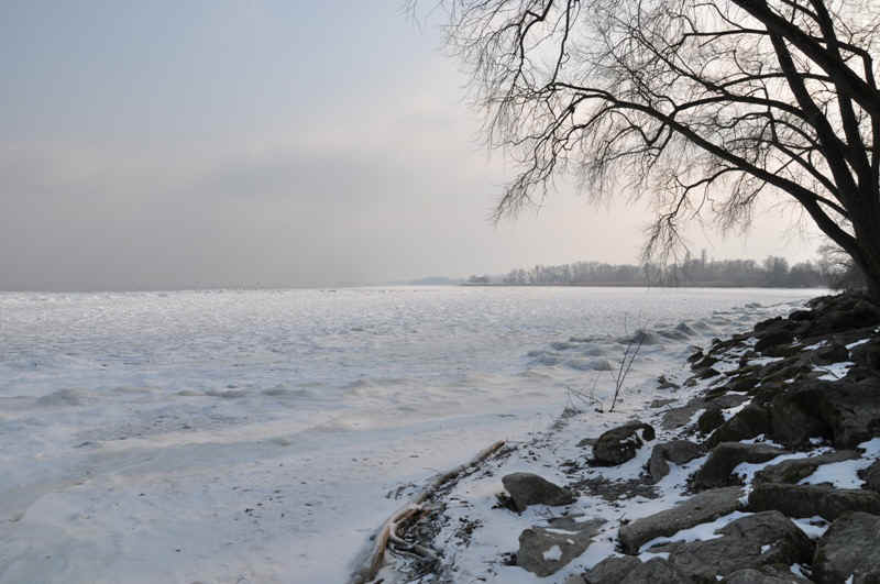 DSC_0136.JPG (188784 Byte)