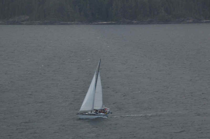 DSC_3784.JPG (146800 Byte)