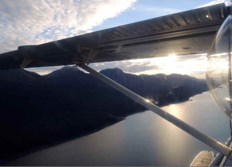 flight.JPG (48624 Byte)