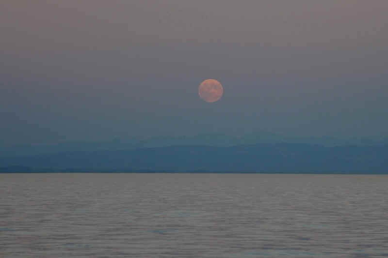DSC_0461cut.jpg (128358 Byte)