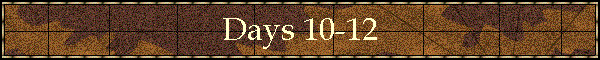 Days 10-12