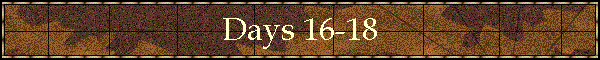 Days 16-18