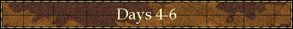 Days 4-6