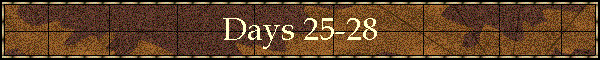 Days 25-28