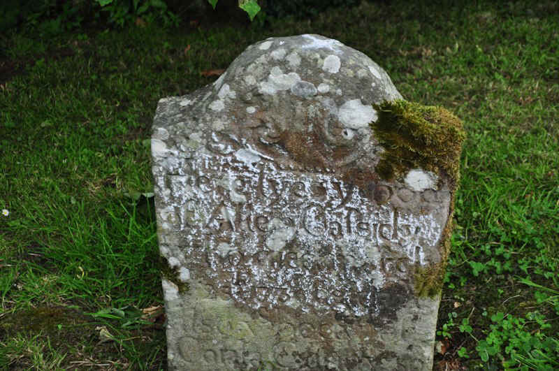 DSC_9708.JPG (192723 Byte)