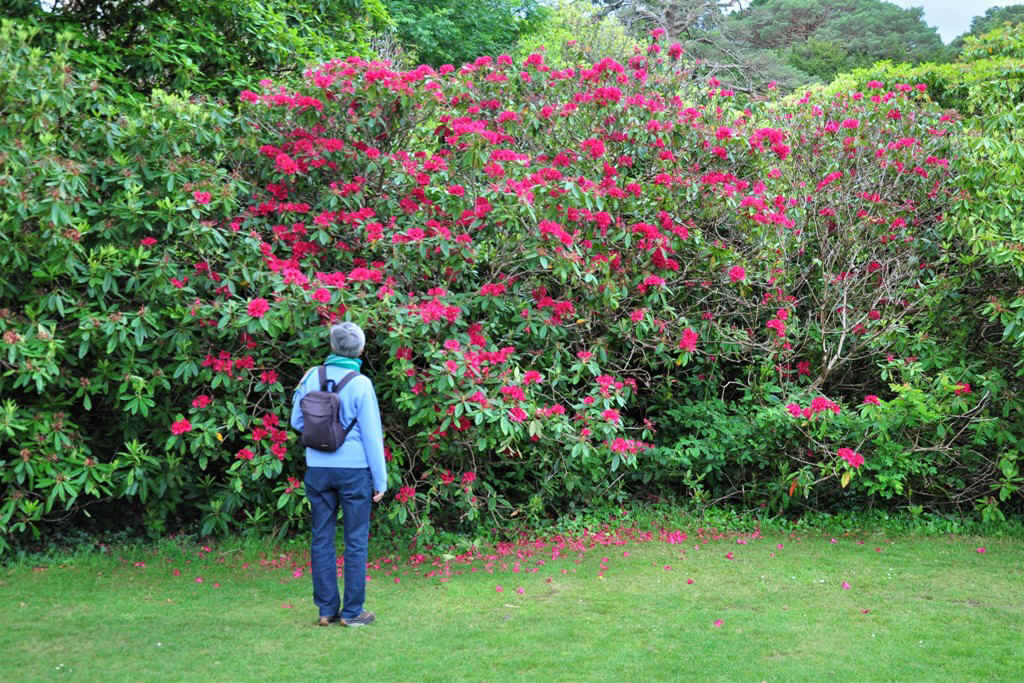 DSC_5253.JPG (400023 Byte)