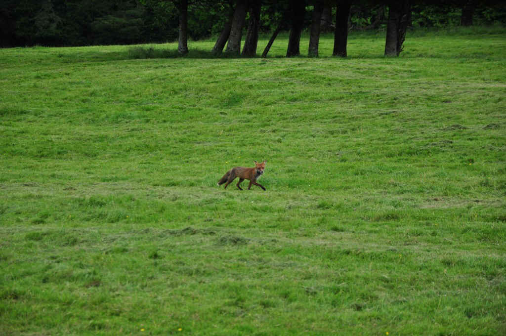 DSC_5313.JPG (251605 Byte)