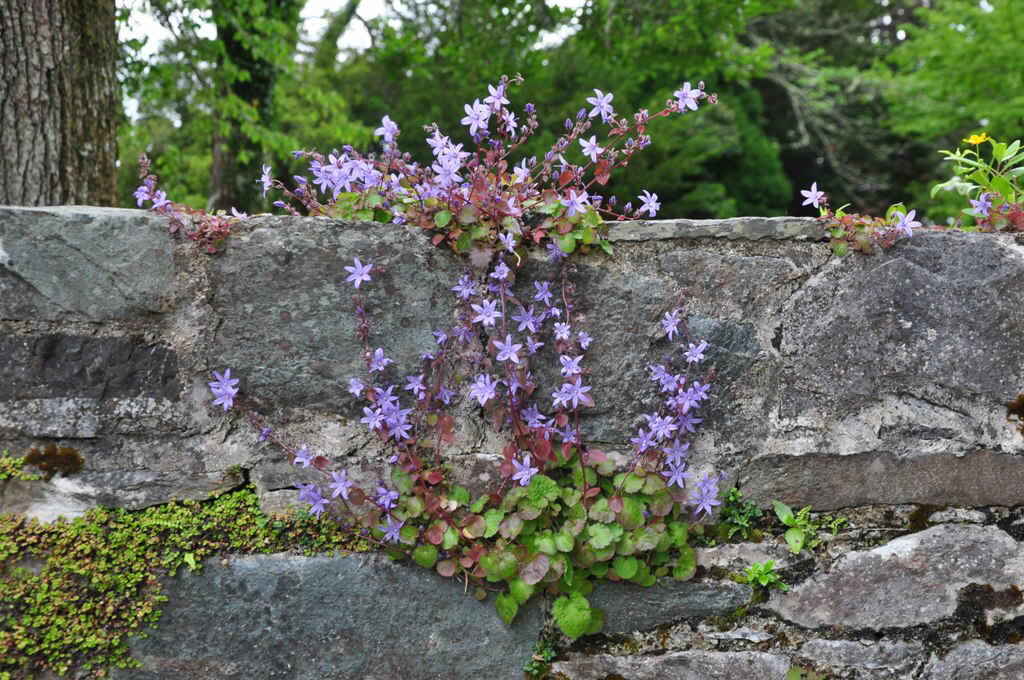 DSC_5374.JPG (299573 Byte)
