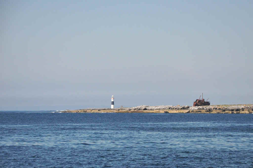 DSC_6968.JPG (195942 Byte)