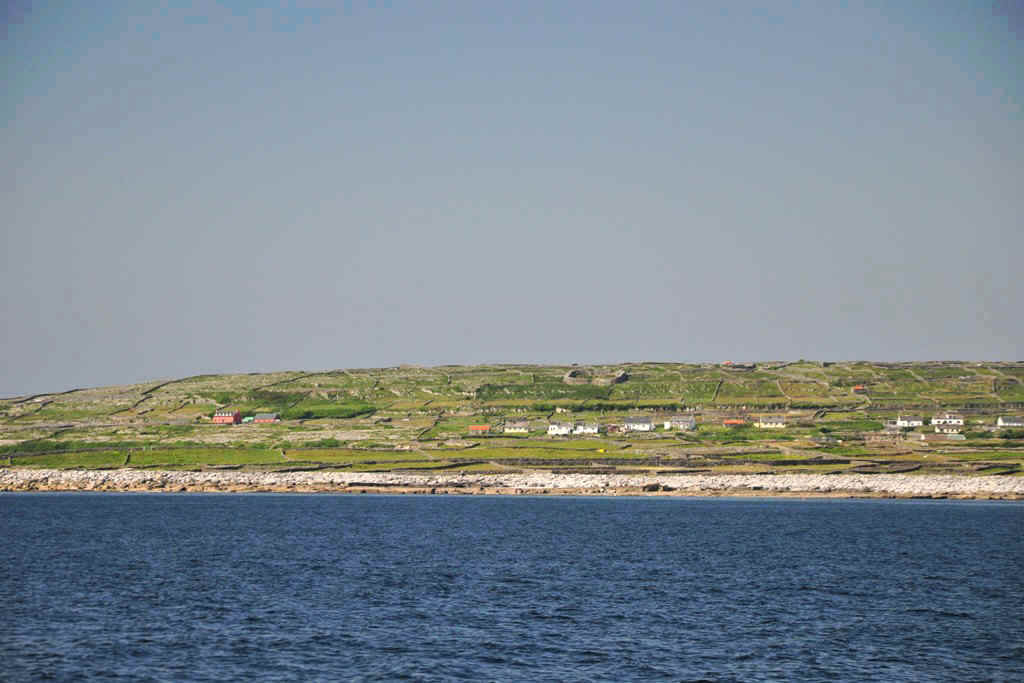 DSC_6982.JPG (191528 Byte)