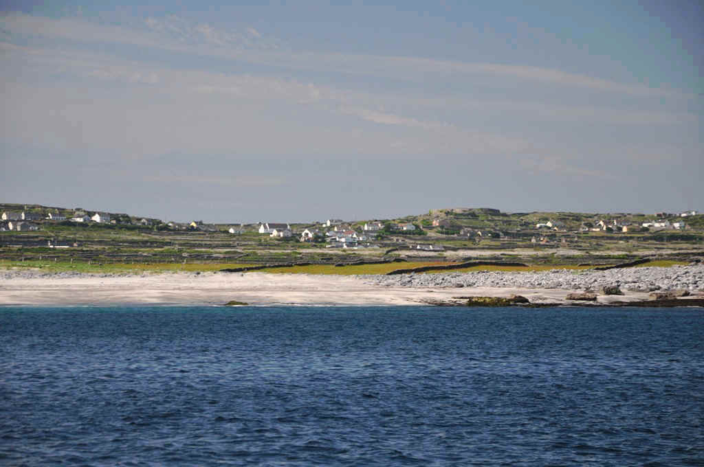 DSC_6988.JPG (197523 Byte)