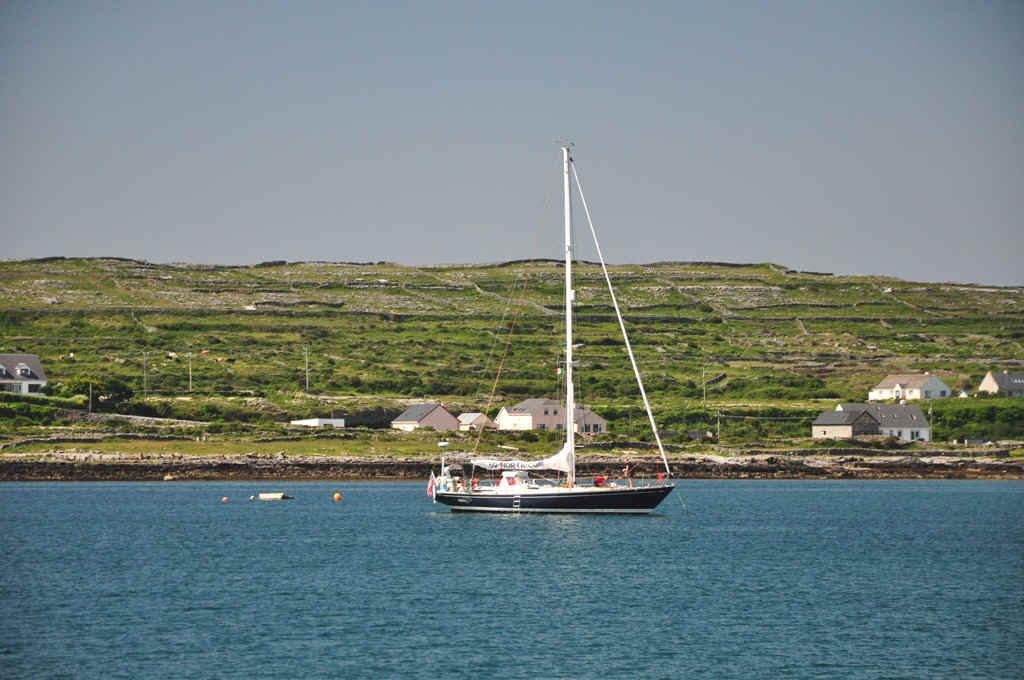 DSC_7005.JPG (224250 Byte)