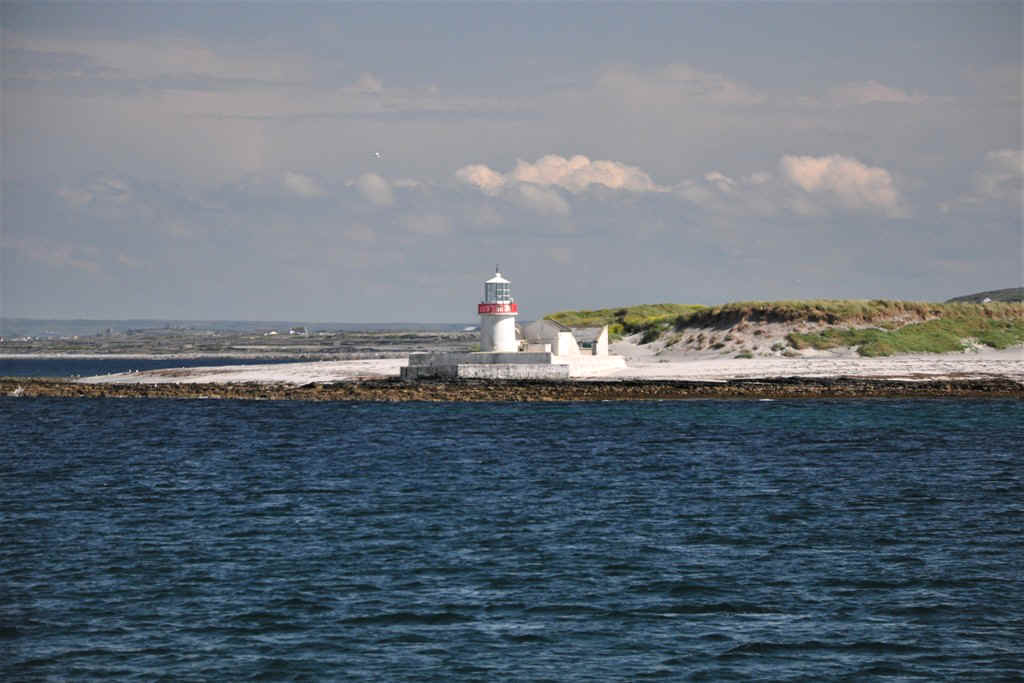 DSC_7178.JPG (194386 Byte)