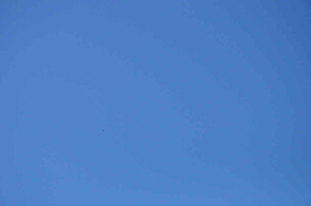 DSC_8296.JPG (134424 Byte)
