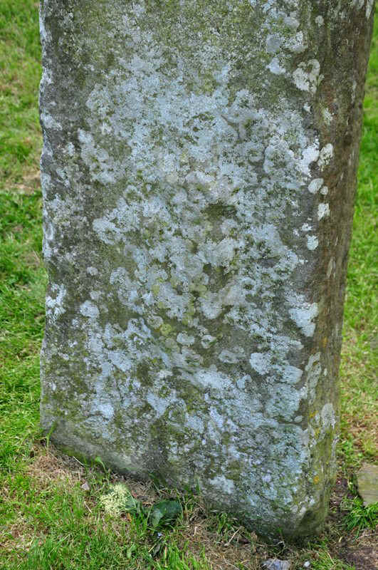 DSC_8340.JPG (194942 Byte)