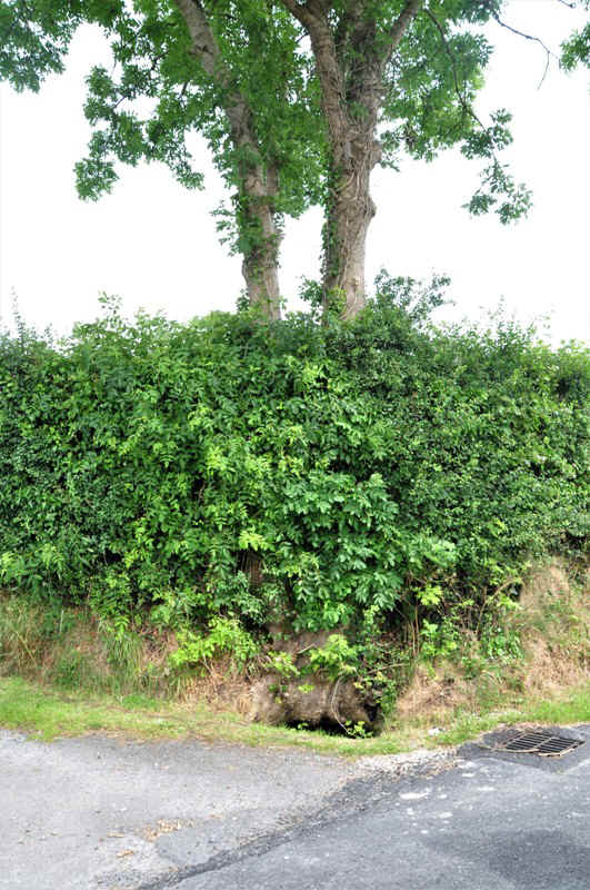 DSC_0539 the well..JPG (238562 Byte)