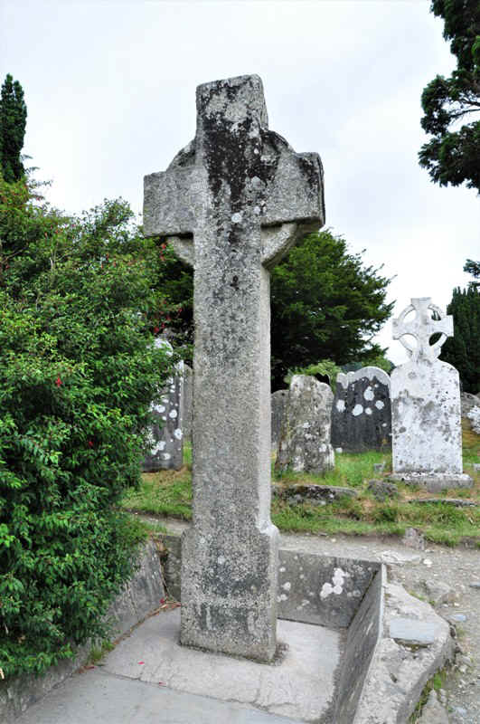 DSC_0594.JPG (201227 Byte)