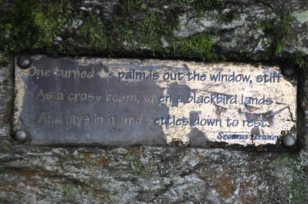 DSC_0685.JPG (273801 Byte)