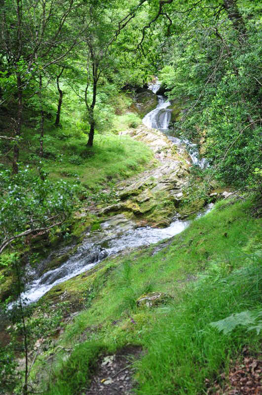 DSC_0689.JPG (191944 Byte)