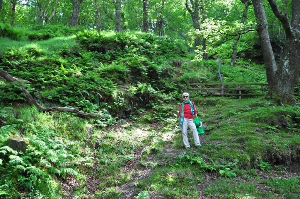 DSC_0706.JPG (401723 Byte)