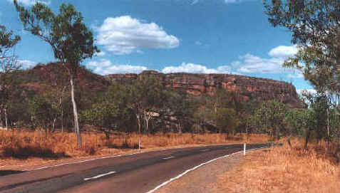 Kakadu1.jpg (44452 bytes)