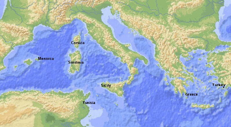 MED.JPG (111583 bytes)