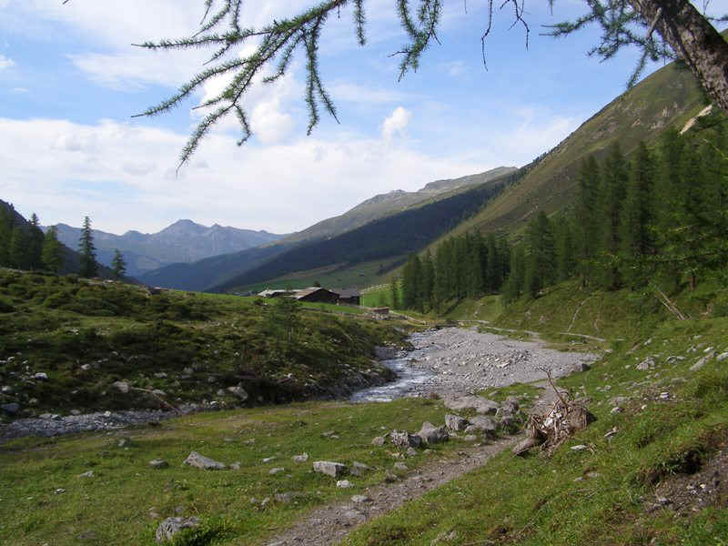 P8175044.JPG (114990 bytes)