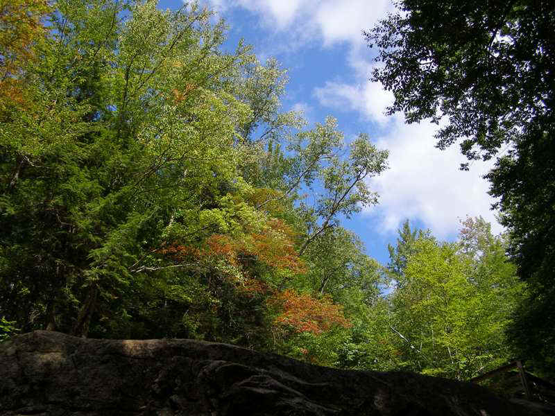 P9095437.JPG (96441 bytes)