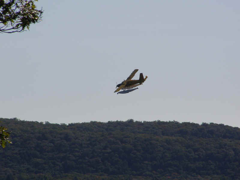 P9176178.JPG (66281 bytes)