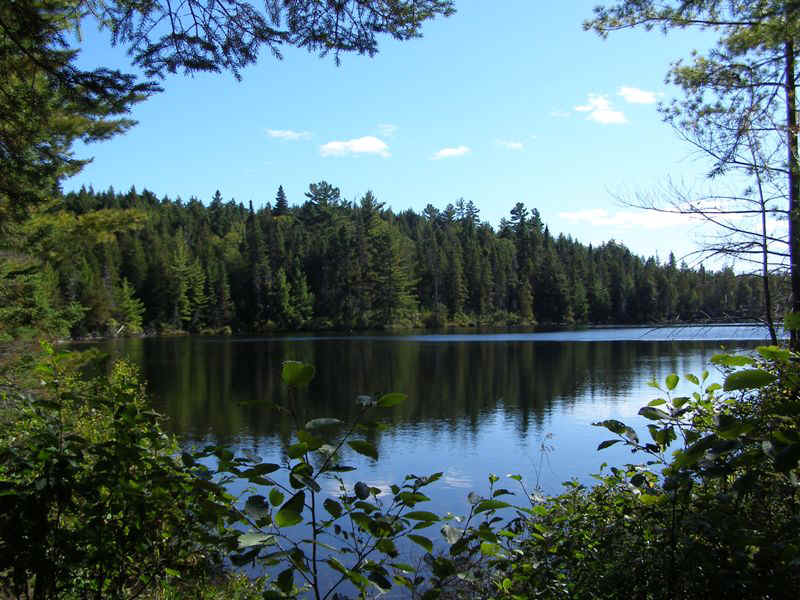 P9176264.JPG (121614 bytes)