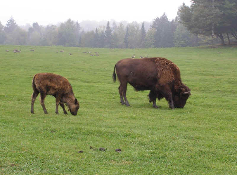 P9226858.JPG (105876 bytes)