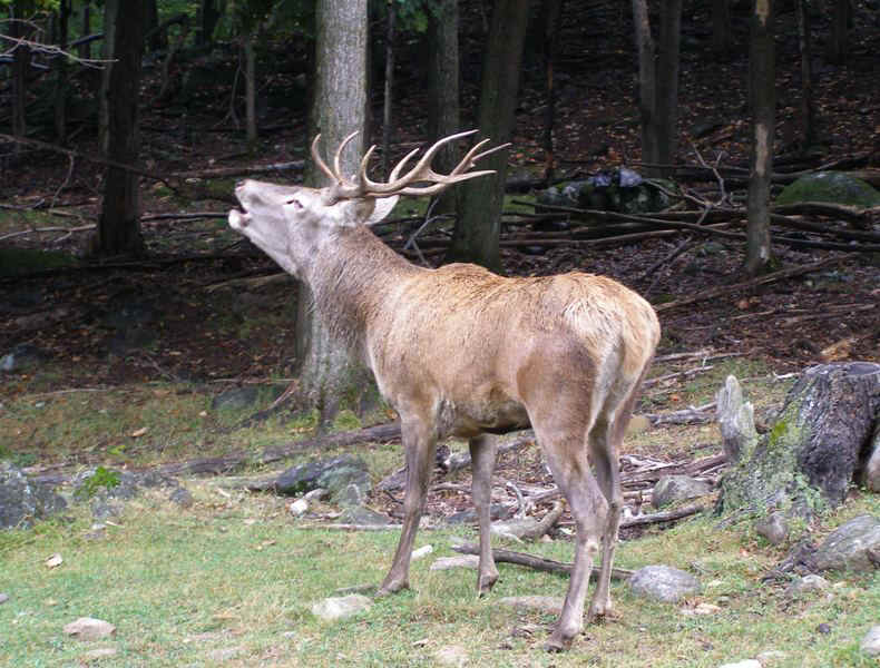 P9226969.JPG (119042 bytes)