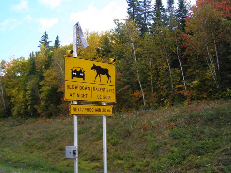 P9257159.JPG (127973 bytes)