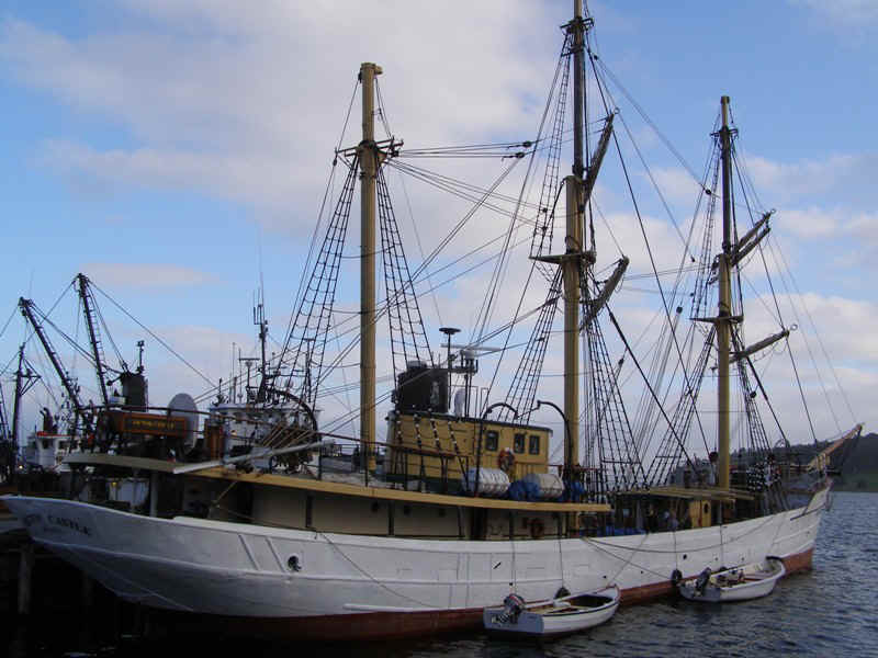 P9287435.JPG (131684 bytes)