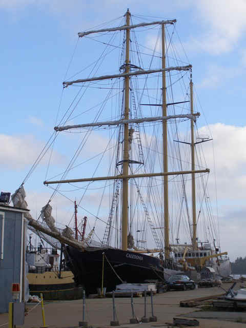 P9287444.JPG (85223 bytes)