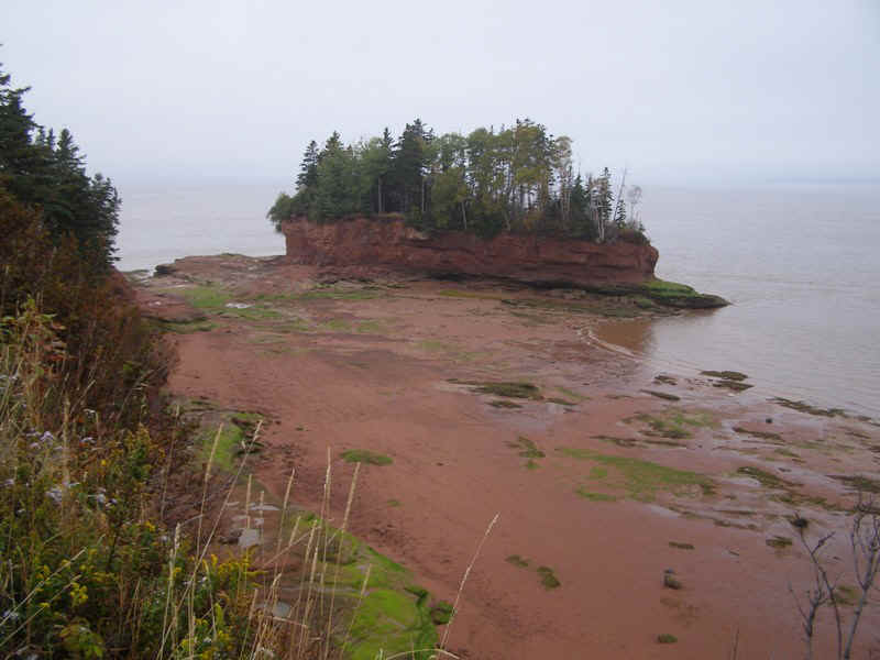 P9297482.JPG (99671 bytes)