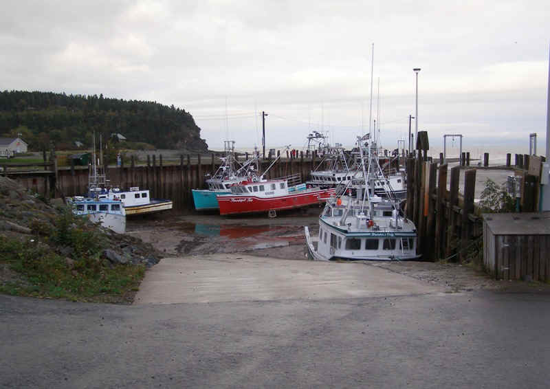 P9297632.JPG (126816 bytes)