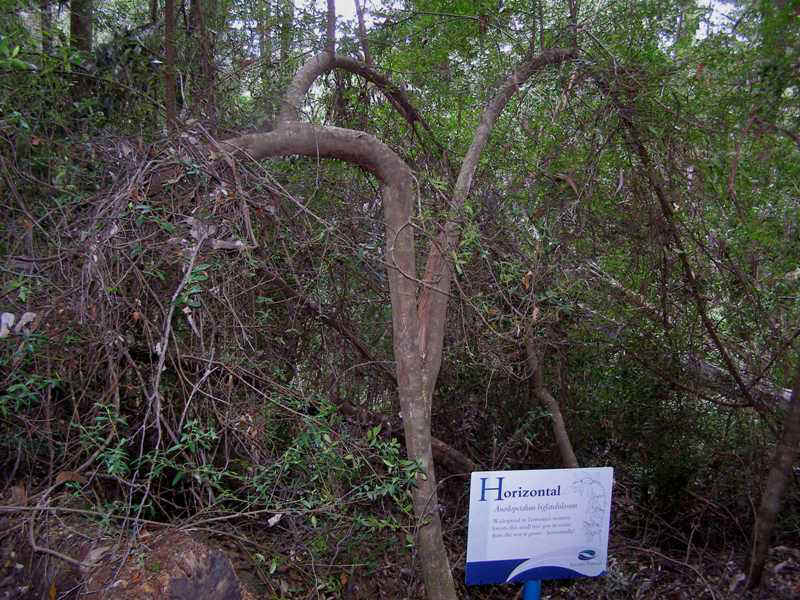 PA313089.JPG (93099 bytes)
