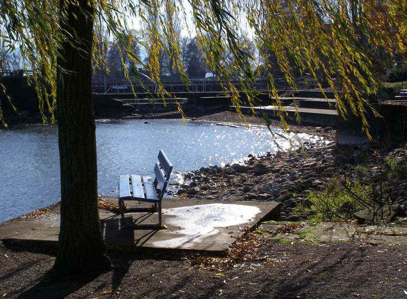 PB259218.JPG (100552 bytes)
