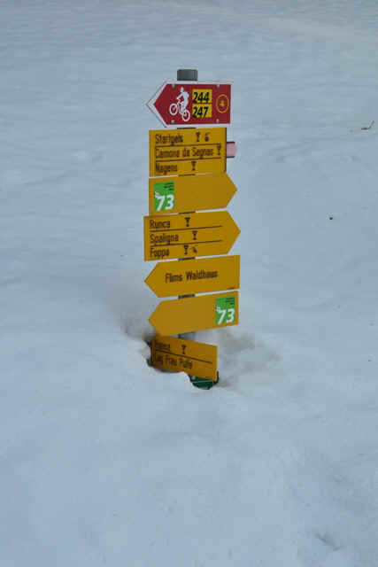 DSC_0470.JPG (116818 Byte)